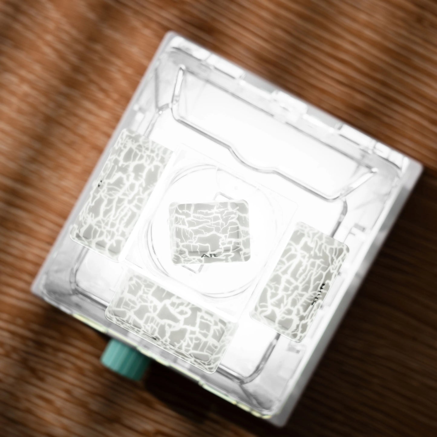 XVX 地形新版圖案透光 OEM 輪廓 IMD 技術鍵帽套裝 118 鍵